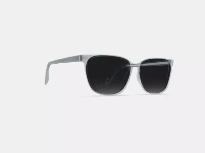 Esme Sunglasses in Crystal 3D model
