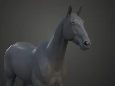 Horse Model 3D model