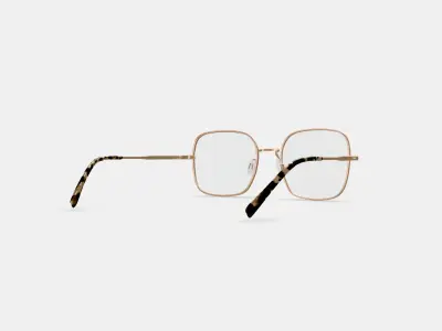 Aniyah Eyeglasses in Polished Gold 3D model