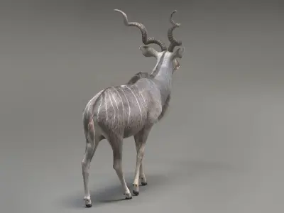 Kudu Antelope model 3D model