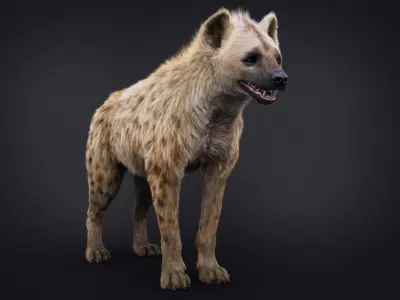Hyena RIG Xgen core 3D model