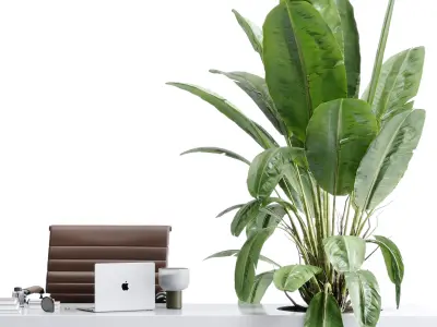 Workplace - Home office set - Office Furniture 50 3D model