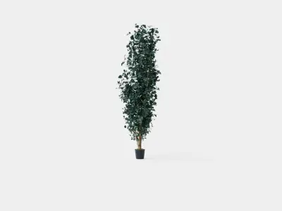 Potted Plant Low-poly 3D model