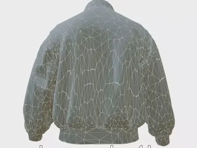 Contemporary Fashion Digital Jacket Model Low-poly 3D model