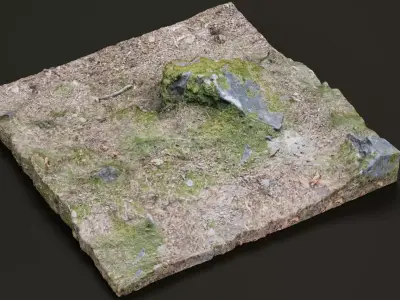 Rock V2 - Scanned Low-poly 3D model