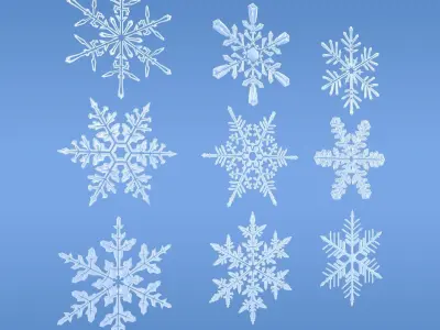 Snowflakes snowflake 3D model