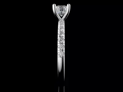 Gold N1591 3D print model