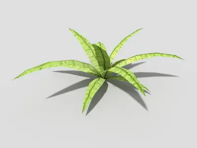 Low poly Plant Low-poly 3D model