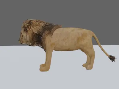 Lion - Leao Low-poly 3D model