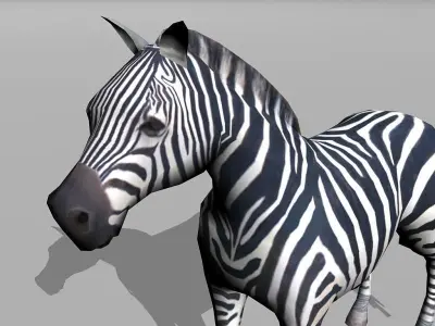 zebra Low-poly 3D model