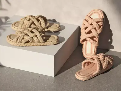 Braided Sliders 3D model