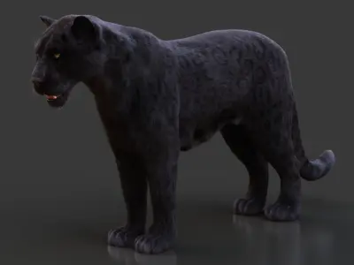 Black Jaguar RIG Xgen core 3D model