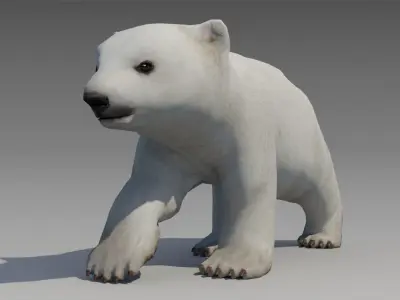 Polar bear cub Low-poly 3D model