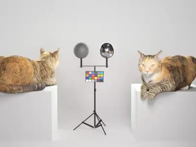 Laying cat 14 Low-poly 3D model