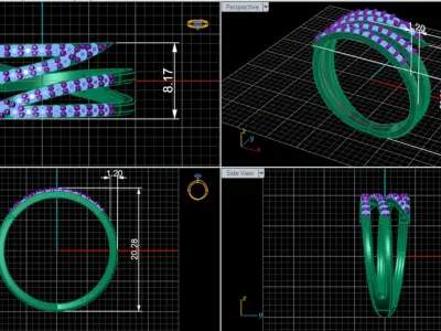 Double-sided ring Free 3D print model