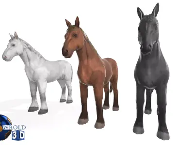 Horse Rigged-Animated Lowpoly 3D Model Collection Pack Low-poly 3D model