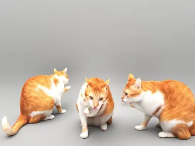 Cat licking paw 45 Low-poly 3D model