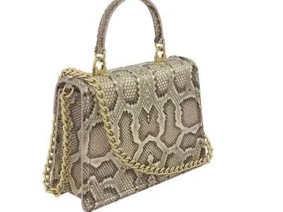 Dolce Gabbana Devotion top-handle Bag Snake Low-poly 3D model
