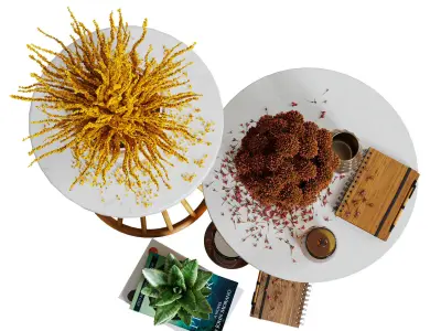 Aloysia Rattan decorative set 3D model