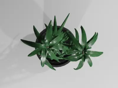 Vase with Plant - Dracena Low-poly 3D model