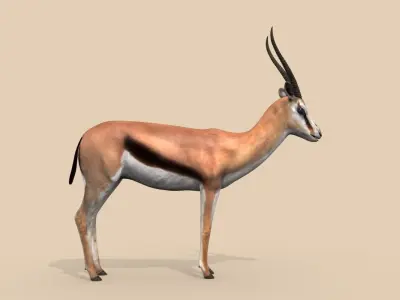PRO Gazelle Low-poly 3D model
