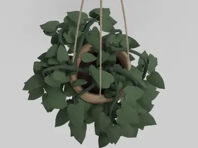 Pothos plants 3D model