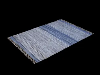 Kilkenny Rug 3D model