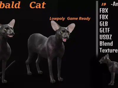 Peterbald Oriental Cat Low-poly 3D model