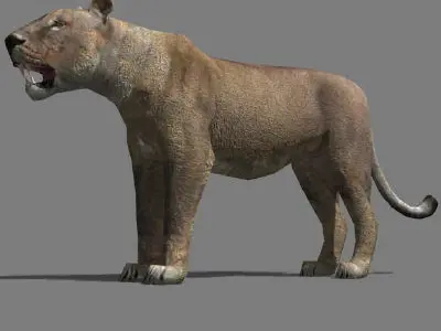 AWESOME Low-poly lioness Low-poly 3D model