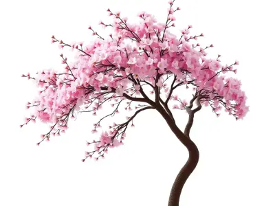 Elegant Sakura Tree model pack Low-poly 3D model
