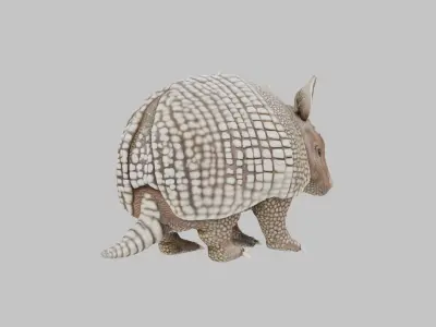 Low Poly Armadillo Low-poly 3D model