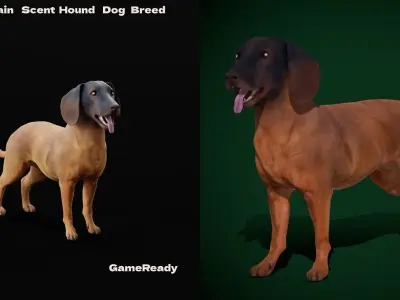 Bavarian Mountain Hound Dog Breed 3D model