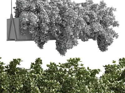 collection Indoor plants hanging pot metal bax vase 06 3D model