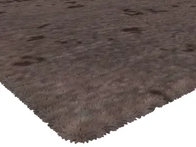 Rug Set 824 3D model