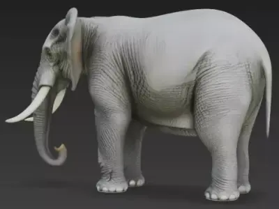 Realistic African Elephant 3D Model High Detail Wildlife  Low-poly 3D model