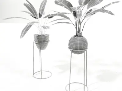 Plant set 2 two potted plants 3D model