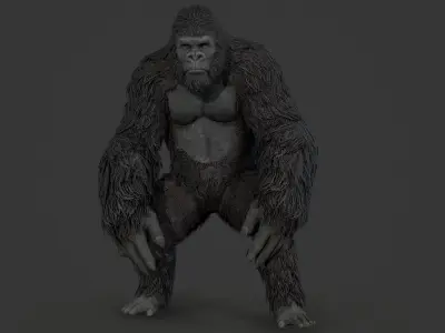 gorilla ape orangutan 3D model