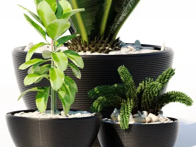 plants set 151 3D model