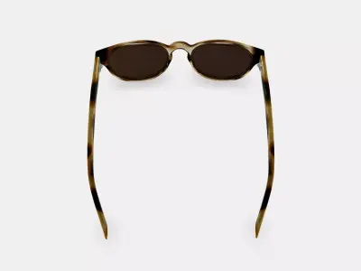 Percey Sunglasses in Striped Sassafras 3D model