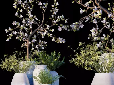 Magnolia - Microsorum pteropus 3D model