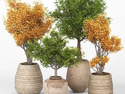 Indoor Plants collection 03