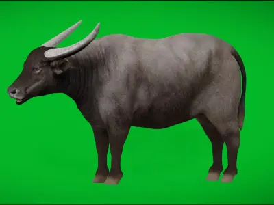 Asian Wild Buffalo Low-poly 3D model