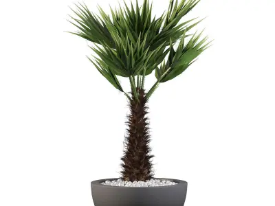 Plants collection 083 3D model