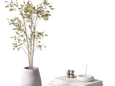 Decorative Set 18 3D model order