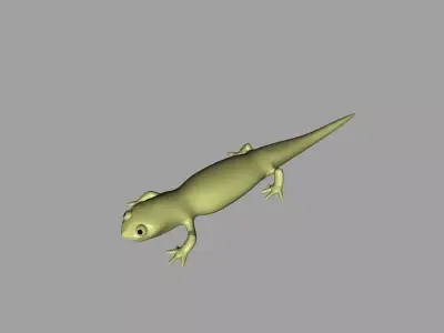 Cartoony Lizard 3D model