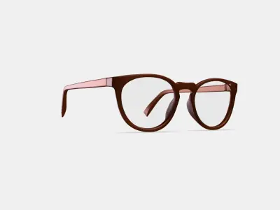 Amari Eyeglasses in Arabica Matte 3D model