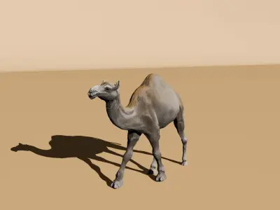 3D Rigged and Animated Arabian Camel Model Low-poly 3D model