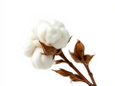 Cotton Plant Model Pack with High Detail Textures Low-poly 3D model
