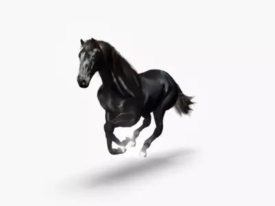 Realistic Black Horse 3D Model Low-poly 3D model