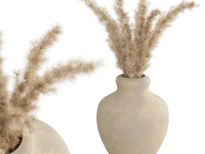 Pampas 3D model